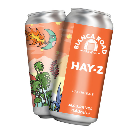 Hay-Z - Pale Ale 5.5%